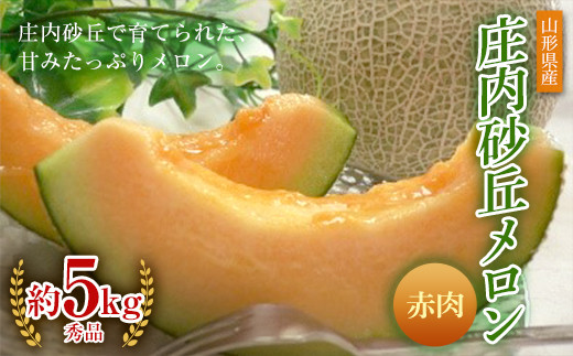 《先行予約 令和7年度産》庄内砂丘メロン赤肉 秀品 3玉又は4玉 約5kg FSY-0193