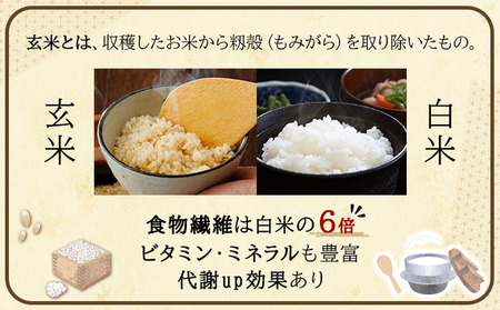令和7年産!ファーム坂口の特別栽培米 おぼろづき玄米5kg