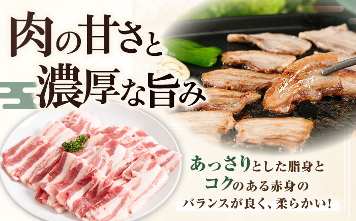 豚肉 豚バラ バラ カルビ 焼肉 スライス 冷凍配送 定期便 北海道 平田牧場