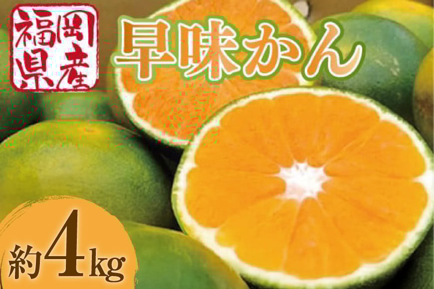 
            【期間限定発送】 みかん 早味かん 約 4kg [南国フルーツ 福岡県 宇美町 um40azo970031] 福岡県産 ミカン 早生みかん 早生ミカン フルーツ 果物 くだもの
          