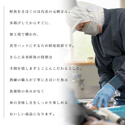 ふるさと納税 大月町 旬のお刺身用 柵セット 2〜3種 高知 海鮮 盛り合わせ 食べ比べ 鮮度抜群 刺し身 グルメ 酒の肴 |  | 01