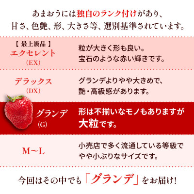 【12月より順次発送】福岡県産 あまおう 500g(250g×2パック)(筑後市)【配送不可地域：離島】
