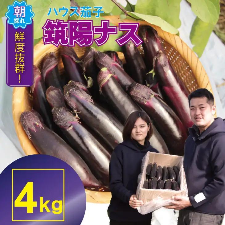 小城市産 筑陽ナス 4kg 朝採れ 新鮮 ハウス栽培 茄子　A095-021