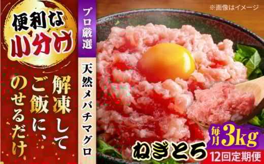 【全12回定期便】まぐろ ねぎとろ 約3kg（約250g×12パック） 鮪 マグロ 魚 ネギトロ 横須賀【横須賀商工会議所 おもてなしギフト事務局（本まぐろ直売所）】 [AKAK043]
