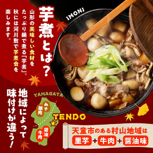 【2026年10月発送分】天童牛 芋煮会 セット ( いも煮 ) 山形 郷土料理 08-01-048-10