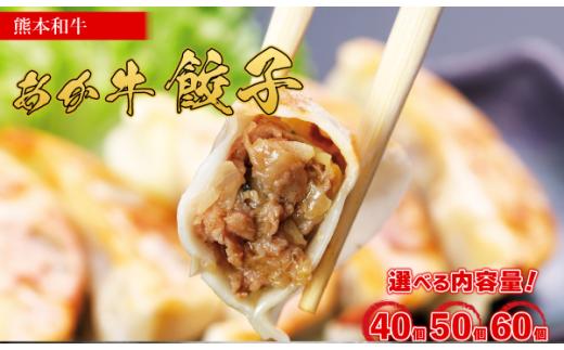 選べる内容量 熊本和牛 あか牛 餃子 【60個】 ぎょうざ ギョーザ 惣菜 冷凍餃子 大容量 冷凍 熊本県 水上村