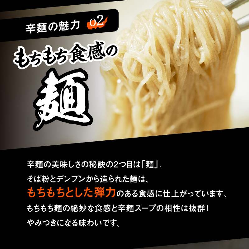 辛麺4食・なんこつ1セット【3ヶ月定期便】 N040-YD0210