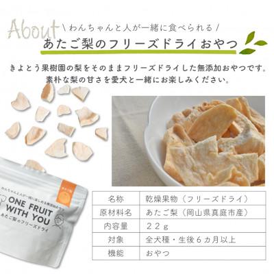 ふるさと納税 真庭市 あたご梨のフリーズドライおやつ(22g×1袋) 原材料は「あたご梨」のみ、果物そのまま!(岡山県産) |  | 01