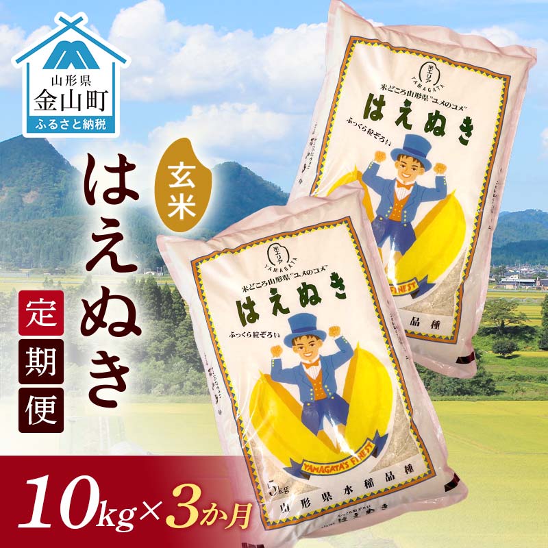 【ふるさと納税】 令和7年産《定期便》 金山産米 はえぬき【玄米】（5kg×2袋）×3ヶ月計30kg 定期便 3ヶ月 米 お米 ご飯 玄米 ブランド米 送料無料 東北 山形 金山町 F4B-0677