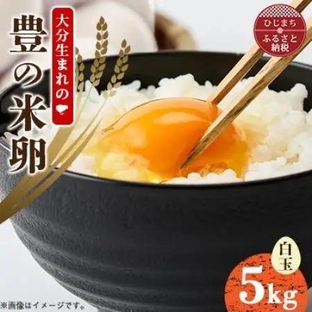 大分生まれのAW飼い「豊の米卵」5kg(白卵)【配送不可地域：離島】【1740554】