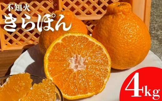 
            【先行受付】 きらぽん 不知火 4kg 不知火 柑橘 デコポン キラポン でこぽん フルーツ 果物 果実 高知県産 室戸市産【2026年3月上旬から発送予定】
          