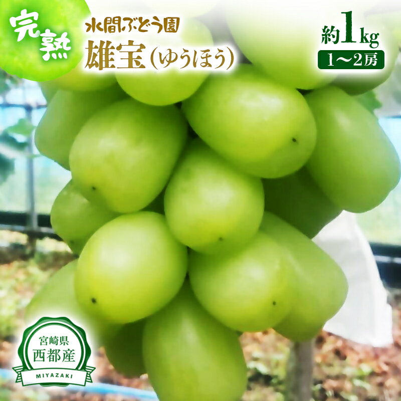 【ふるさと納税】雄宝(ゆうほう) 約1kg（1~2房） 皮ごとOK 種なし 西都産完熟ぶどう 水間ぶどう園【先行予約】＜16-7a＞