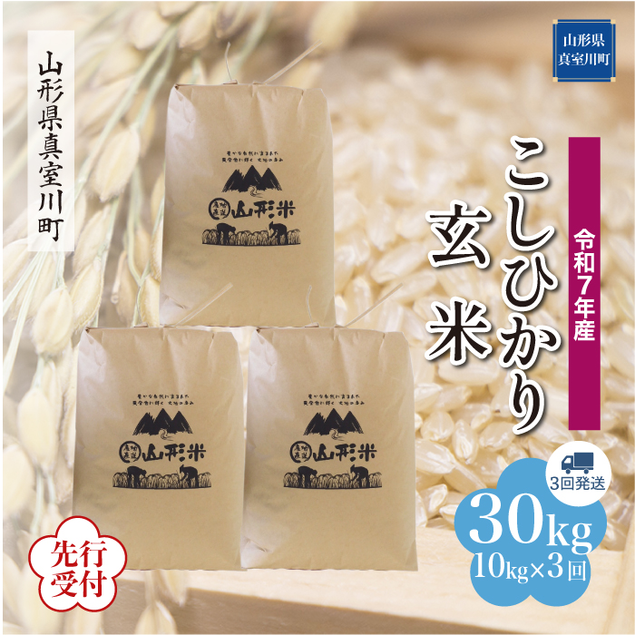 ＜令和7年産米先行受付＞ 真室川町産 こしひかり 【玄米】30kg 定期便 (10kg×3回) 　配送時期指定できます！