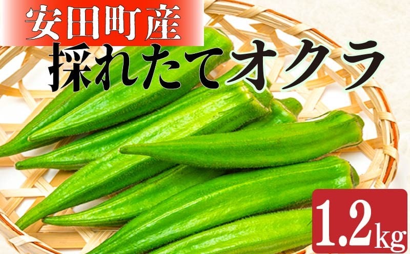 
            朝どれ 農家直送新鮮 オクラ 1.2kg 農家直送 新鮮 国産オクラ 野菜 夏野菜 美味しい 厳選 おかず 常温 朝どれ やさい  YK-03
          