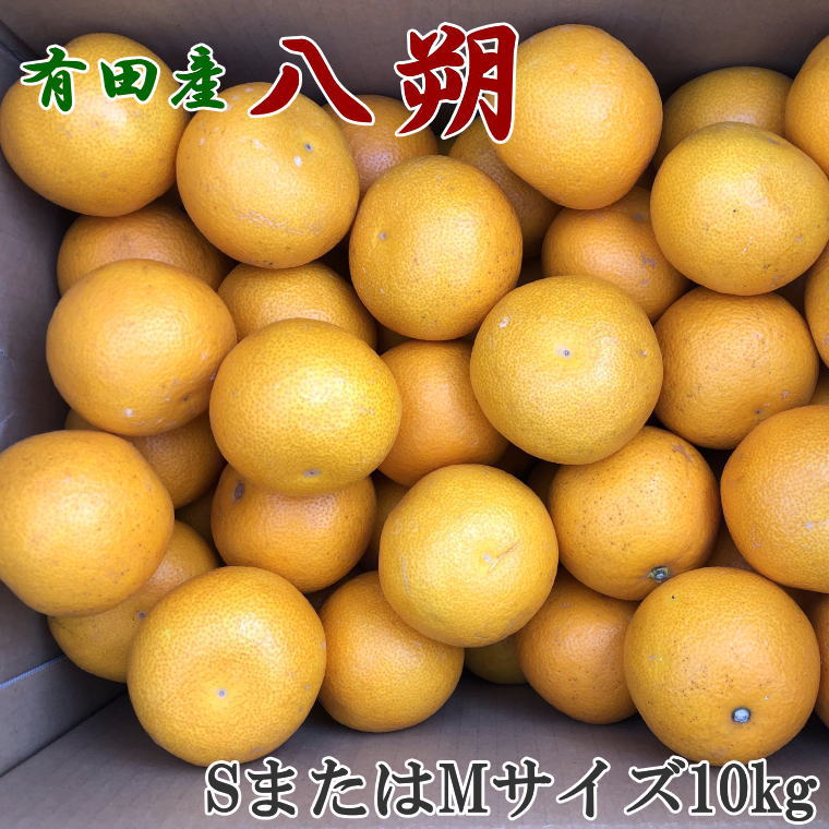 【ふるさと納税】 【手選果】有田産の八朔10kg（SまたはMサイズいずれかお届け）＜2026年1月下旬～2026年2月下旬頃より順次発送＞