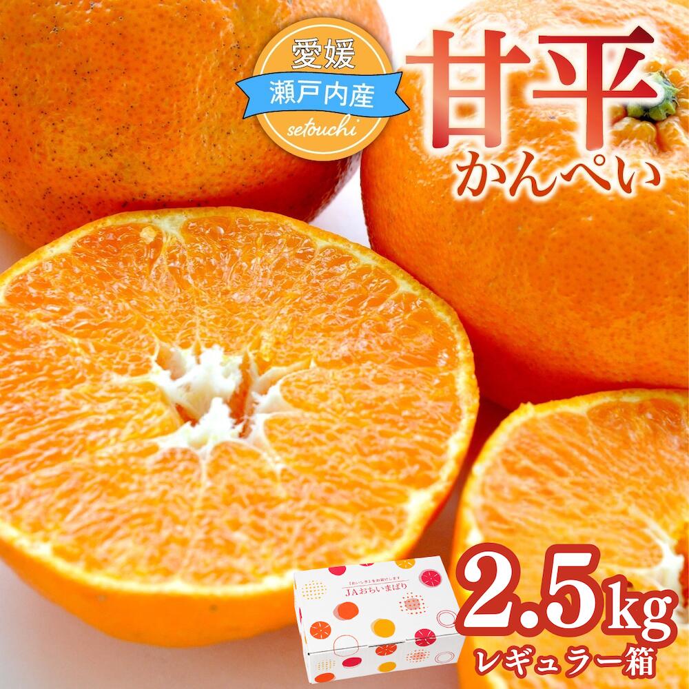 【ふるさと納税】【先行予約】人気柑橘 甘平 かんぺい レギュラー箱 2.5kg 果物 フルーツ 国産 柑橘 みかん 甘平 かんぺい カンペイ 甘平みかん 人気 甘い mikan 柑橘 愛媛みかん 愛媛ミカン 愛媛県 JAおちいまばり