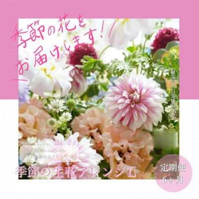 ふるさと納税 芸西村 【毎月定期便】芸西村産季節のおすすめ生花花束　初回花瓶付　毎回延命剤付【t158tmf】　全6回