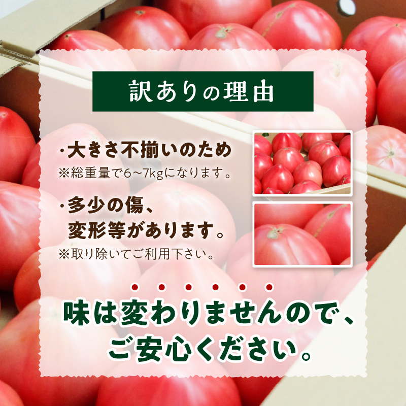 期間限定　真っ赤なトマトわけあり大容量6ｋｇ～7ｋｇ【A9-014】
