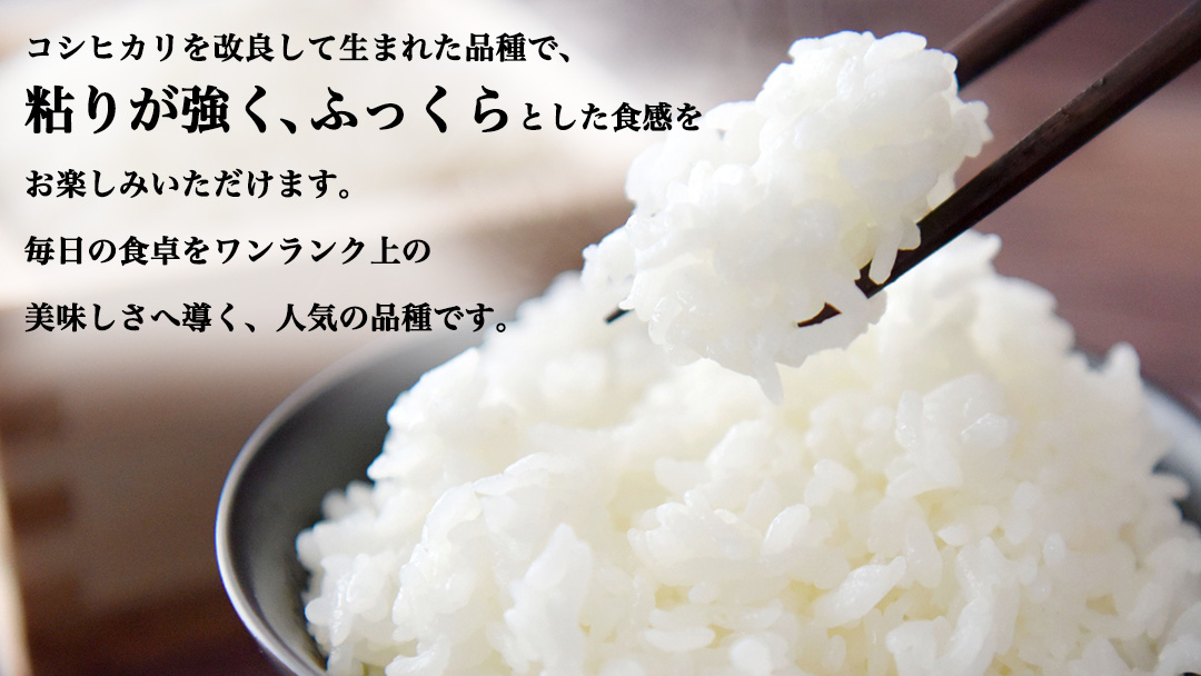 《 令和8年産 》 桜川市産 ミルキークイーン 10kg 新米 先行予約 茨城県 桜川市 米 お米 白米 コメ ごはん 精米 国産 限定 銘柄米 [SC072sa] 10kg（5kg×2袋）