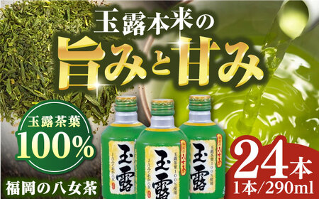 福岡の八女茶 玉露 ボトル缶 290g×24本 / お茶 飲料 おちゃ [AFAB014]