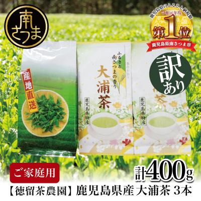 ふるさと納税 南さつま市 【ご家庭用】鹿児島県産緑茶 大浦茶 3本セット 計400g かごしま 日本茶 緑茶 茶葉