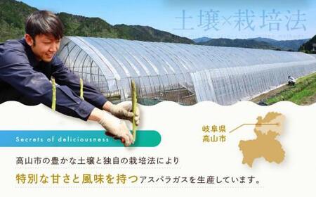 【2025年発送 先行受付】2Lサイズ以上 ひだっこアスパラガス 1.5kg アスパラ  野菜 やさい 産地直送 春  夏   採れたて グリーンアスパラガス 期間限定 ひだっこの里  CM002VC