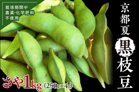 【先行予約／数量限定40】京都夏黒枝豆さや 1kg（250g×4パック）（2026年7月中旬～発送）
