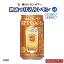 【ふるさと納税】＜宝 極上レモンサワー 熟成つけ込みレモン 350ml×24本＞ ※入金確認後、翌月末迄に順次出荷します。 れもん 檸檬 チューハイ 酎ハイ お酒 アイショップまえだ 宮崎県 特産品 高鍋町【常温】