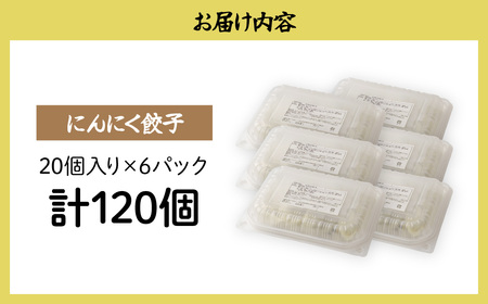 にんにく餃子 120個 | 餃子 冷凍ギョウザ 北本フーズ 埼玉県 北本市
