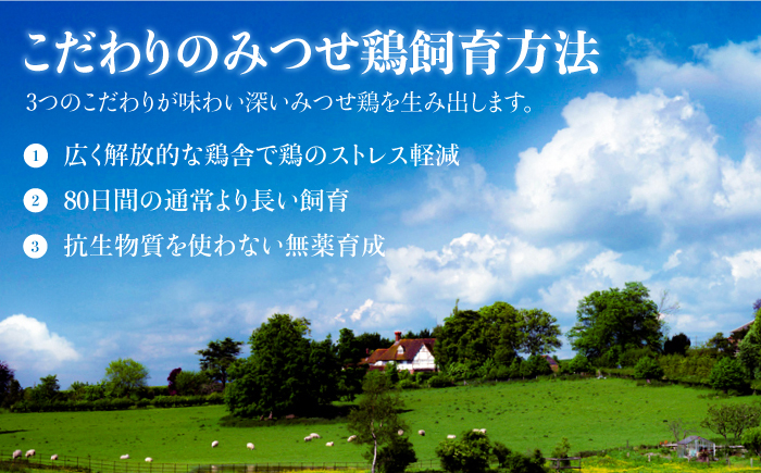 【贈答用】≪大きくてジューシー！≫みつせ鶏ソーセージ12本ギフトセット【炭寅コーポレーション】 [FCI004]