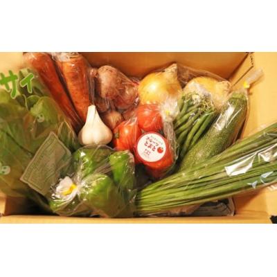 ふるさと納税 佐川町 【年12回】高知から直送!旬の季節のお野菜セット(7~9品)2回目以降着日指定可能 産地直送 |  | 01
