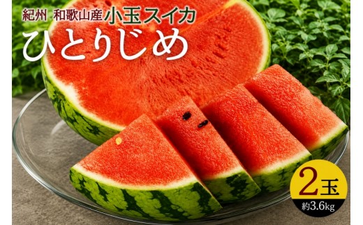 
                  紀州和歌山産 小玉スイカ「ひとりじめ」 2玉 ※2027年5月下旬頃〜6月下旬頃に順次発送 【uot402-r-2】
                
