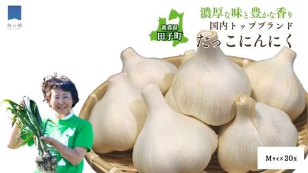 日本一ブランドたっこにんにくMサイズ20玉（青森県田子町産にんにく）