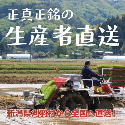 ふるさと納税 刈羽村 【新潟ブランド米】【無洗米】刈羽村産新之助 10kg(5kg×2袋) |  | 02