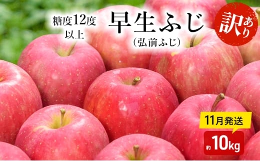 りんご 【 11月発送 】( 糖度12度以上 ) 訳あり品 家庭用 早生ふじ ( 弘前ふじ )約 10kg 【 青森りんご  果物類 美味しい 採れたて 選りすぐり 高糖度 ご家庭用 甘さ 驚き 果汁 土壌 肥料 】