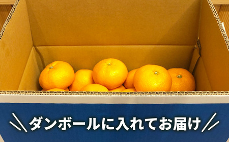 みかん 河津町 旬のみかん セット 果物 フルーツ みかん