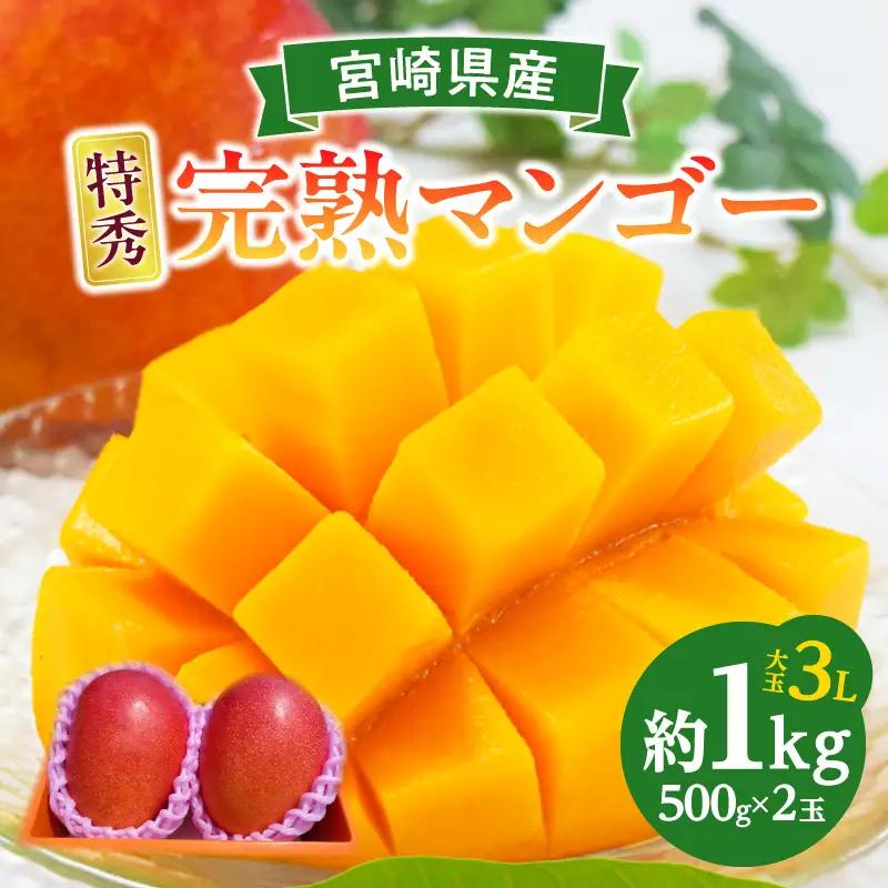 マンゴー 宮崎 完熟 特秀 3L 2玉 マンゴー[約1kg 化粧箱入り]