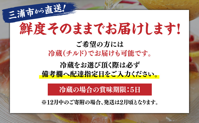 活〆新鮮ぶりフィレ 1枚（半身）　M079-010-01