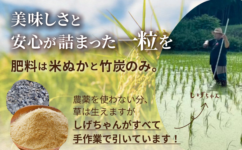 【令和7年産】米 完全無農薬・化学肥料不使用 ミルキークイーン 5kg 蒜山高原しげちゃん農園 / 米 白米 無農薬 新米 岡山県 真庭市 蒜山【hsig008-01】