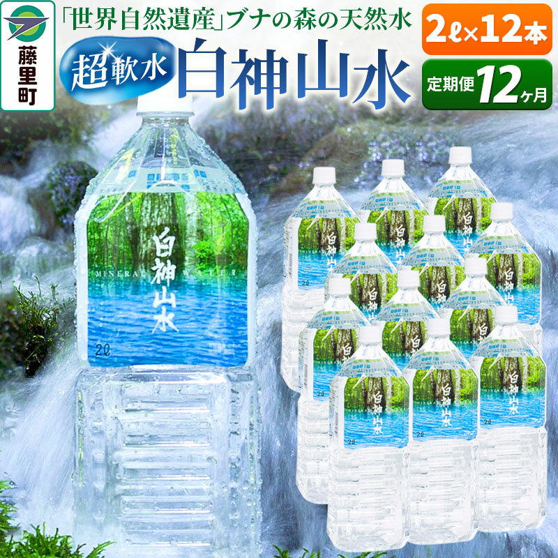 【ふるさと納税】【定期便12ヶ月】白神山水（2L×12本） 水 ミネラルウォーター