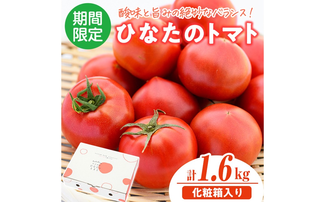 ＜先行予約受付中！2026年2月から5月の間に発送予定＞門川ひなたのトマト(800g×2箱) 高糖度 トマト フルーツトマト 野菜 旬野菜 冷蔵 門川町産 宮崎県 門川町 【宮崎県農業協同組合日向地区本部(門川選果場)】【TM-02】