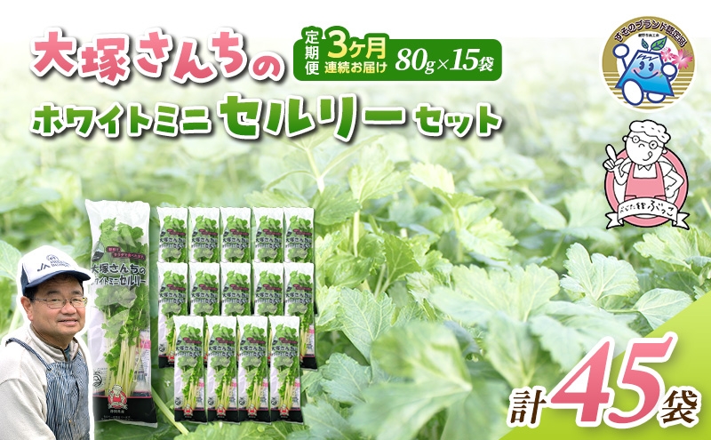 
                  定期便 3回 ホワイトミニセルリー 15袋  計45袋 野菜 詰め合わせ 毎月届く 3ヶ月 セロリ ミニセロリ 新鮮 産地直送 サラダ 野菜セット 詰合せ[№5812-0933]
                
