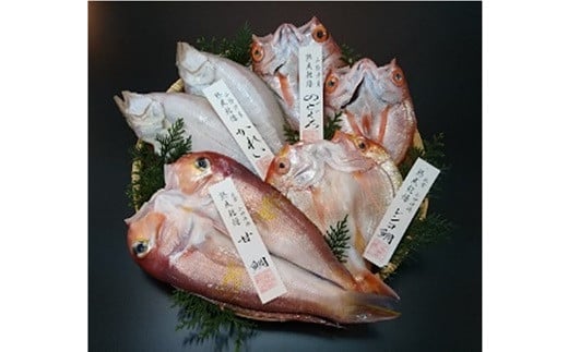 48 山陰沖天然もの一夜干しセット 「出雲の風　さやか」