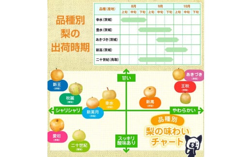 阿部農縁 福島県の和梨 甘くて水分豊富な旬のなし 幸