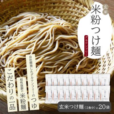 ふるさと納税 三原市 玄米つけ麺(つゆ付き/2人前)20袋入り [092-012]