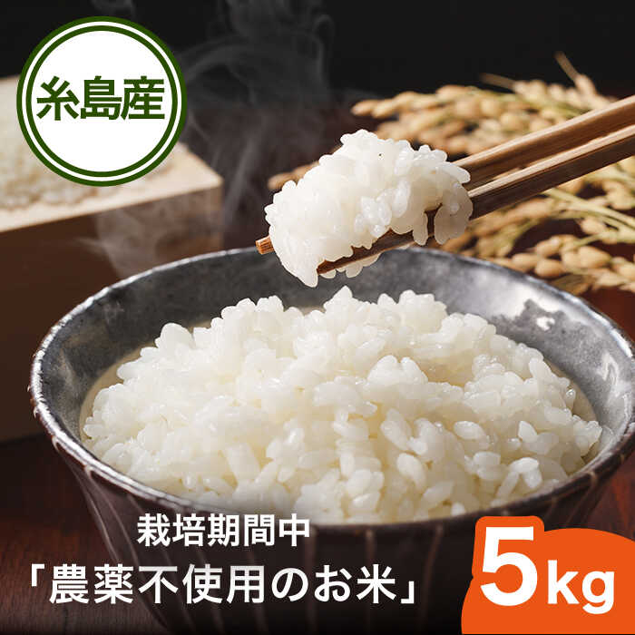 【ふるさと納税】栽培期間中 農薬不使用のお米 ヒノヒカリ 5kg 糸島市 / シーブ [AHC005] おこめ 5キロ 30000円 3万円