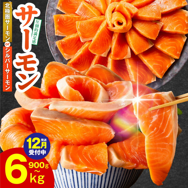【ふるさと納税】満足度9割以上 サーモン ポーション 1kg / 1.5kg 切落し 900g 定期便 訳あり 発送時期が選べる サイズ不揃い 鮭 小分け ブロック 柵 刺身 海鮮丼 生食 鮮度抜群 海鮮 冷凍 驚異のリピート率 楽天限定 年内発送 発送月 大阪府 泉佐野市