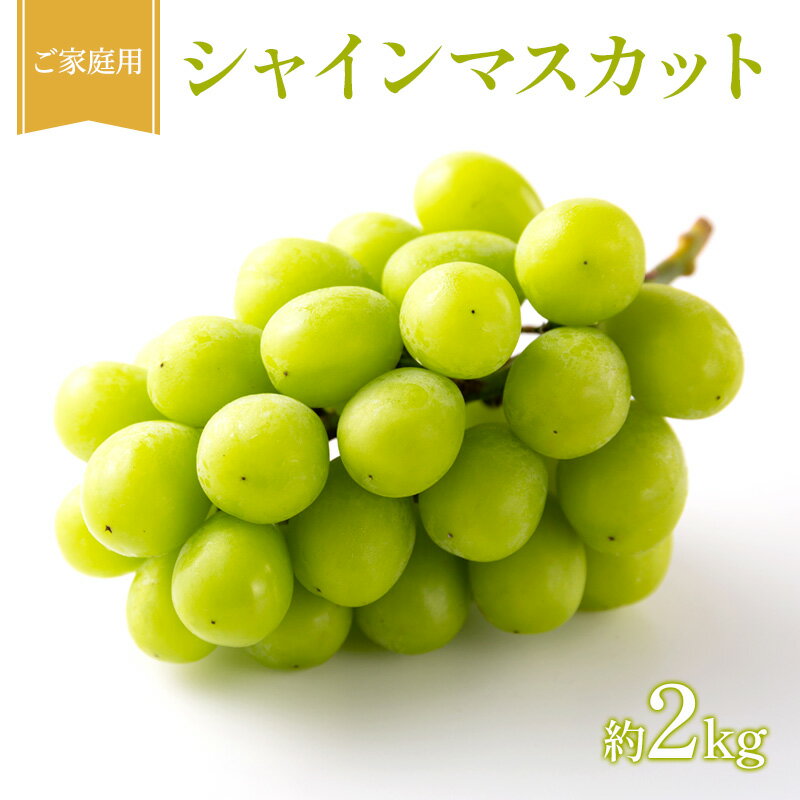 【ふるさと納税】ぶどう 2026年 先行受付 ご家庭用 シャインマスカット 約2kg フルーツ 果物 岡山 赤磐市　お届け：2026年9月16日～2026年10月15日