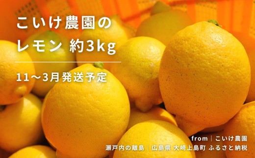 
                  レモン 約3kg 11～3月発送 瀬戸内レモン 国産 瀬戸内 広島 大崎上島 離島 こいけ農園 れもん 檸檬 健康 健康志向 生搾り レモンサワー レモンスカッシュ レモネード クエン酸 ビタミンC
                