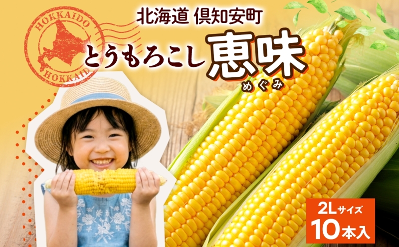 朝もぎ イエロー とうもろこし 恵味 2Lサイズ 10本 お試し 大